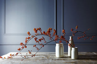  Fall Decor Essentials for Creating an Elevated Seasonal Look