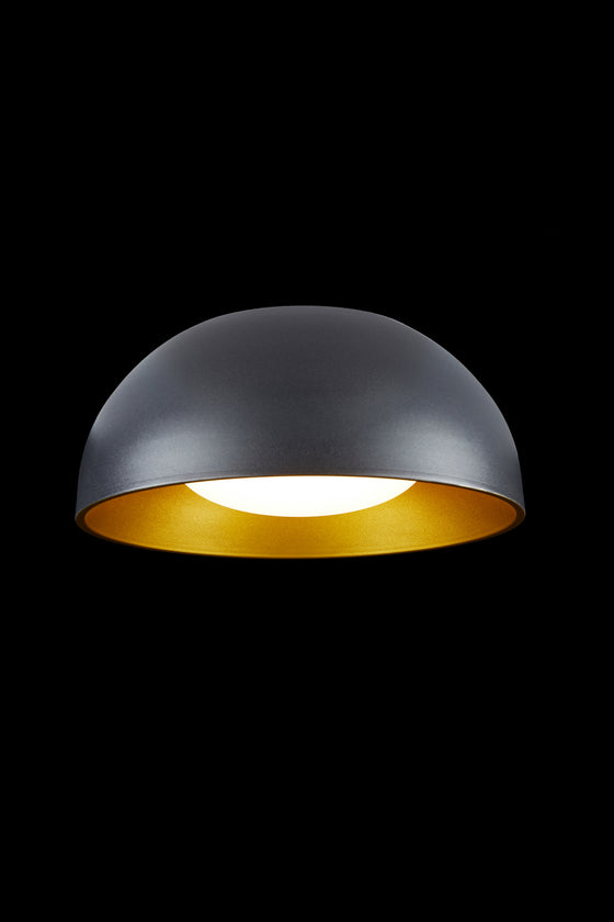 Briar Ceiling Light