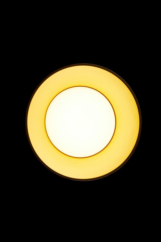 Briar Ceiling Light