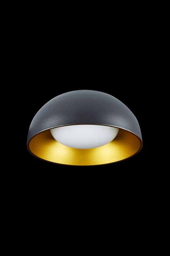 Briar Ceiling Light