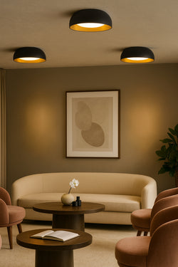 Briar Ceiling Light