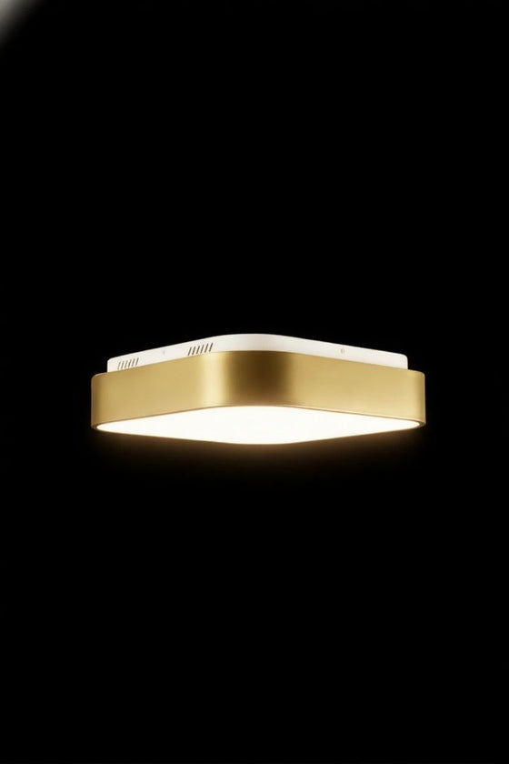Hadley Ceiling Light