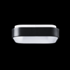 Hadley Ceiling Light