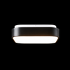 Hadley Ceiling Light