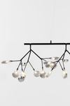 Hazel Modern Branch Chandelier