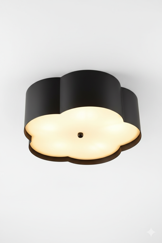 Ceiling light fixture with black outer shell and white inner shade on a white background