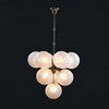 Rufus Glass Globe Chandelier Bouquet