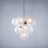 Rufus Glass Globe Chandelier Bouquet
